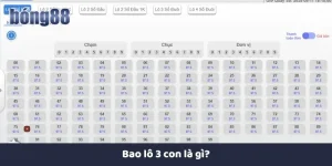 Bao lô 3 con là gì