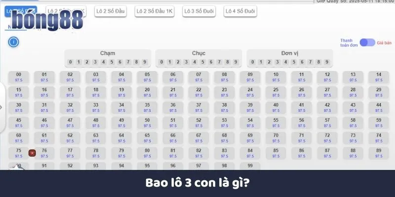 Bao lô 3 con là gì