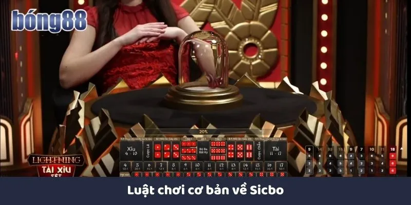 Cách Chơi Sicbo Hiệu Quả Tại Bong88 - Bí Quyết Thắng Lớn Luật chơi cơ bản và cách đặt cược về sicbo