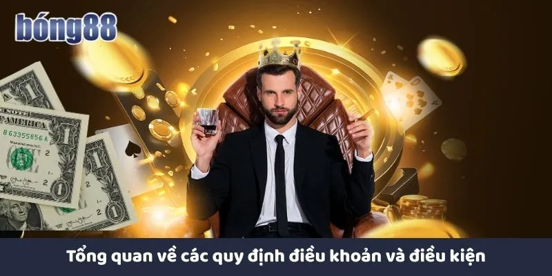 Tổng quan về các quy định điều khoản và điều kiện