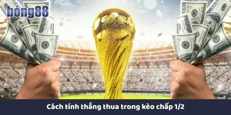 Cách tính thắng thua trong kèo nửa trái