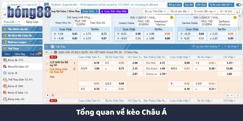Tổng quan về kèo Châu Á