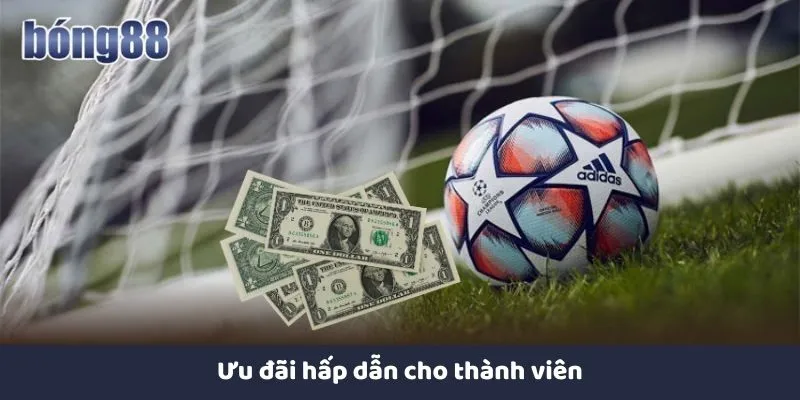 Ưu đãi hấp dẫn cho thành viên