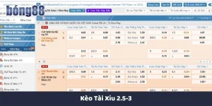 Kèo tài xỉu 2.5-3