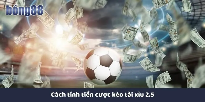 Cách tính tiền kèo hai trái rưỡi giúp quản lý vốn hiệu quả