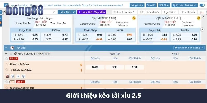 Kèo tài xỉu 2.5 hấp dẫn với luật chơi dễ hiểu