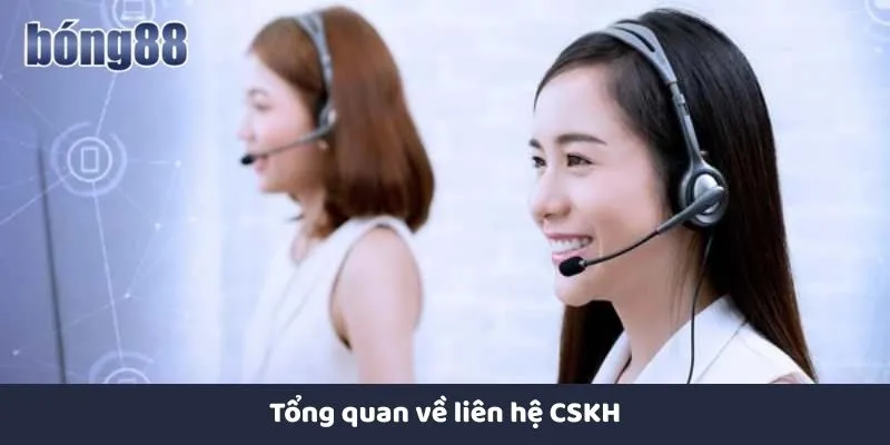 Liên Hệ CSKH Tổng quan về liên hệ CSKH