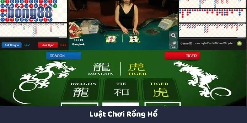 luật chơi rồng hổ