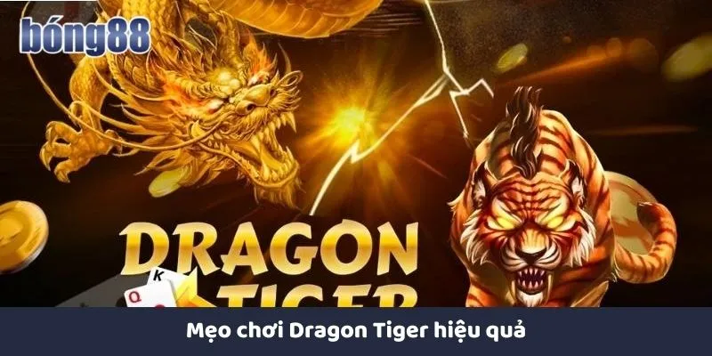 Luật Chơi Rồng Hổ Tại Bong88|Hướng Dẫn Chi Tiết Cho Cược Thủ Mẹo chơi Dragon Tiger hiệu quả