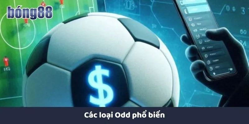 Các loại odd phổ biến trong cá độ bóng đá