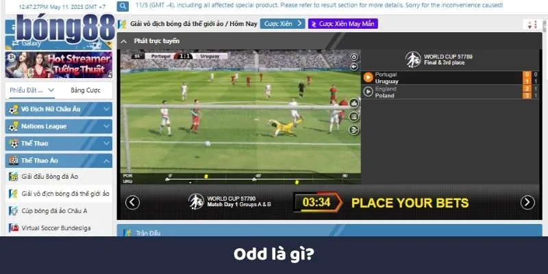 Tìm hiểu khái niệm odd là gì?